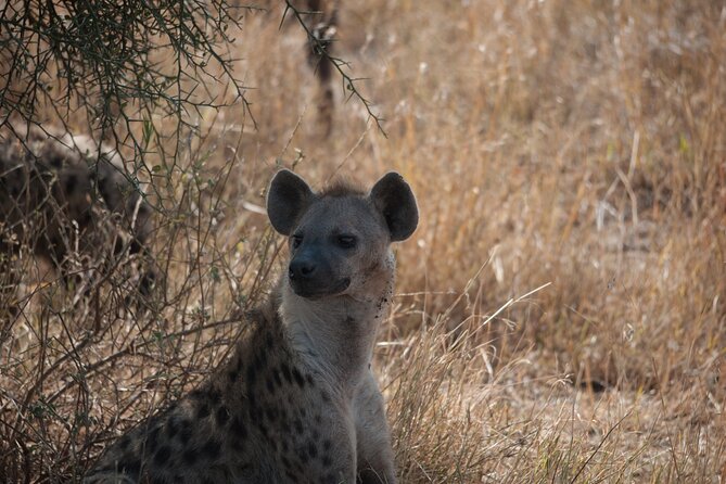 6-day Private Camping Safari Tour from Kilimanjaro Airport - Day six: Ngorongoro Crater and Lake Manyara