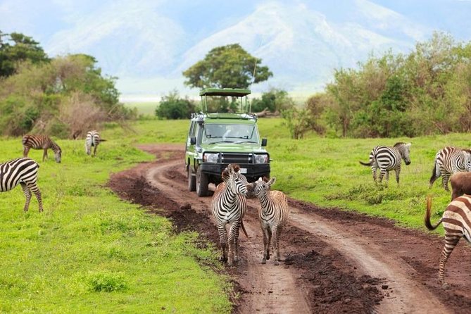 6 Day Tanzania Wildlife Mid range Safari - Vehicle, Group Size, and Daily Comfort