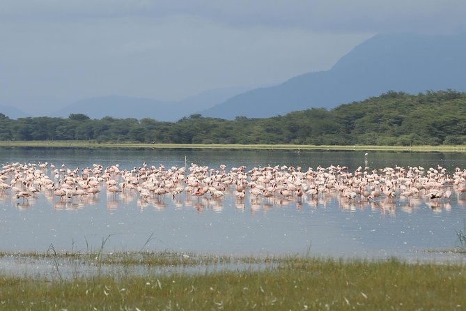 6 days 5 nights safari Ngorongoro, Serengeti and Tarangire National Parks - Day 3: From Ngorongoro highlands to the Serengeti