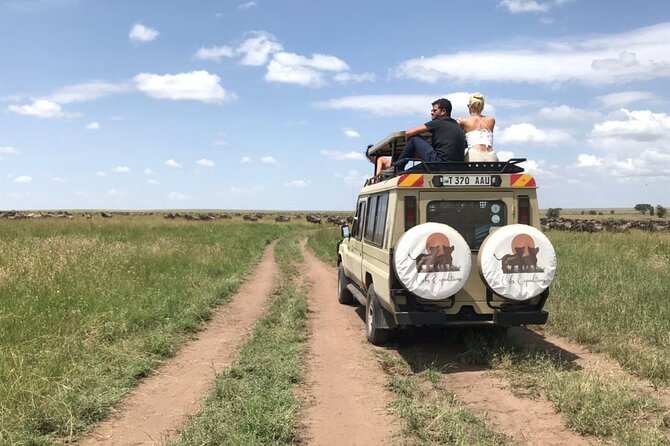 6 days 5 nights safari Ngorongoro, Serengeti and Tarangire National Parks - Day 4: A full Serengeti day with a sunrise start
