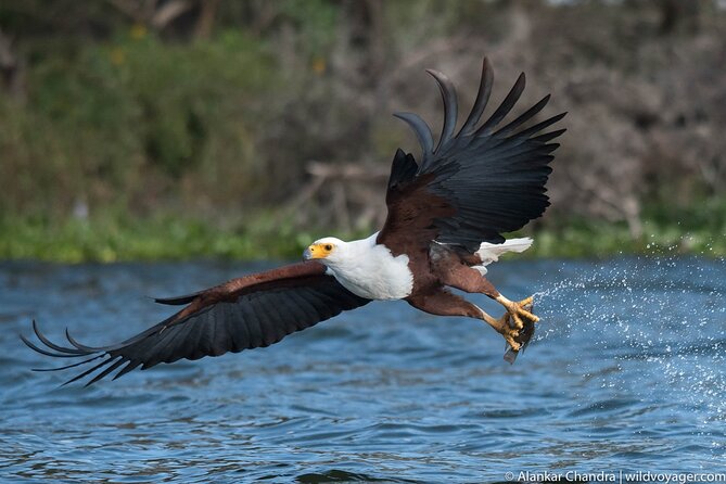 6 Days Kenya Adventure Wildlife Safari - Five hours with wildlife at Lake Nakuru
