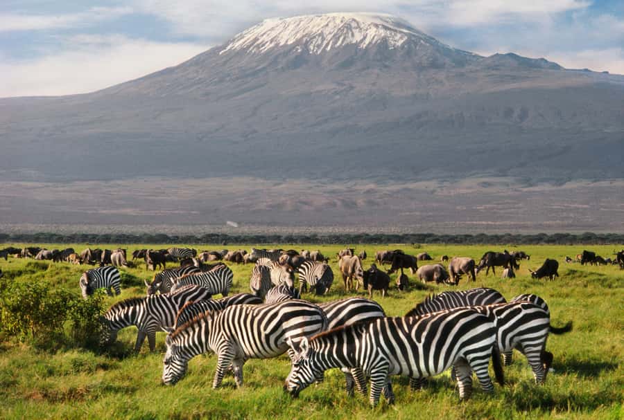 6 Days Kenya Budget Safari - Day 3: Leaving the Mara for Nakuru