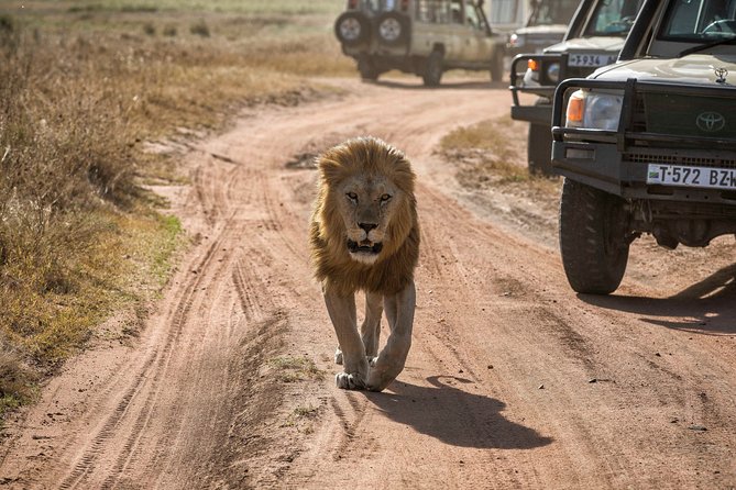 6 Days Private Budget Safari - Why this six-day route works