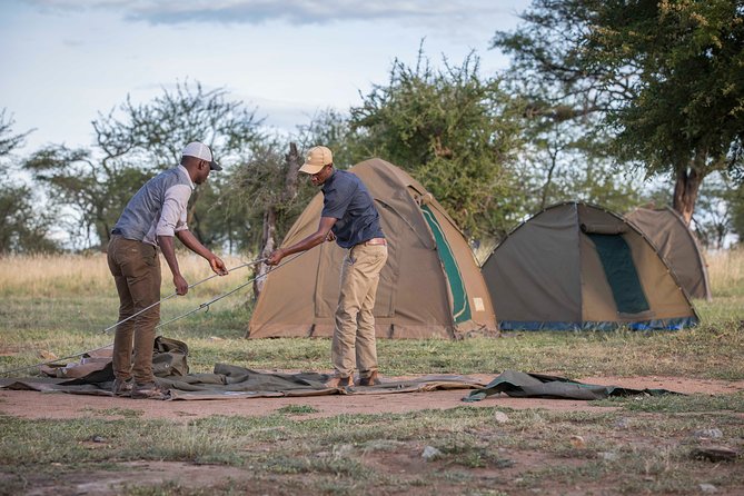 6 Days Private Budget Safari - Day 2: The long road to Serengeti