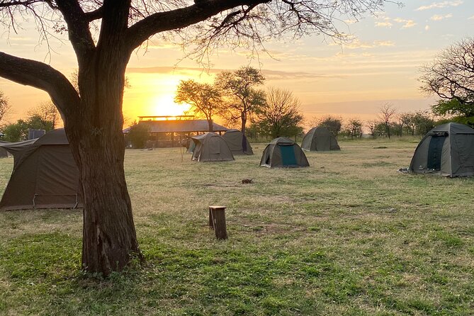 6 Days Private Budget Safari - Day 3: A full Serengeti day from sunrise to sunset