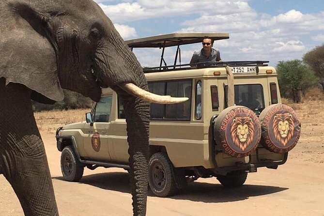 6 Days Private Budget Safari - Day 6: Flamingos and tree-climbing lions at Lake Manyara