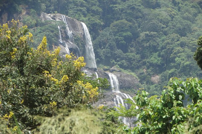 6 Days Safari to Udzungwa Mountain NP, Ruaha NP and Mikumi NP - The six details that shape this safari