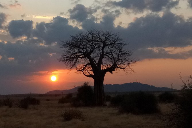6 Days Safari to Udzungwa Mountain NP, Ruaha NP and Mikumi NP - Day 5: Walking through the bush, then on to Mikumi