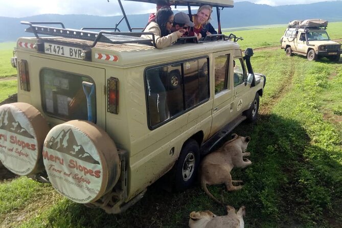 6 Days Tanzania Budget Camping Safari - Ngorongoro Crater: a concentrated wildlife day