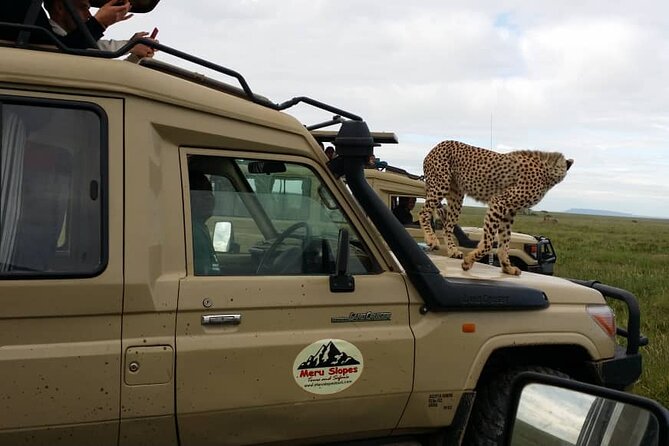 6 Days Tanzania Budget Camping Safari - Mto wa Mbu: a welcome change of pace