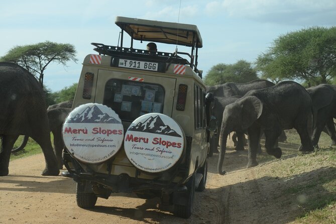 6 Days Tanzania Budget Camping Safari - Lake Manyara on the final safari day