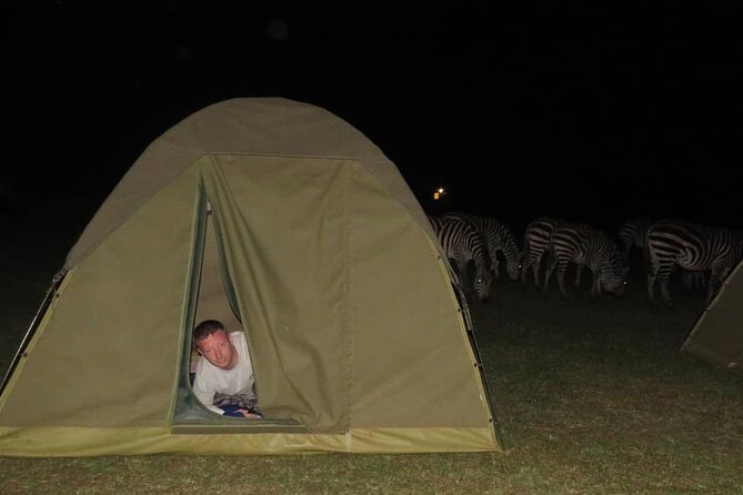 6 days Tanzania budget safari - Day three: A full day around Seronera