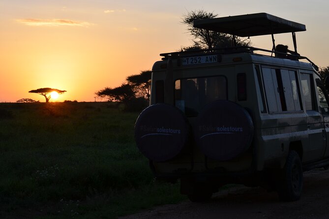 6 days Tanzania budget safari - Day four: Leaving the Serengeti through the morning
