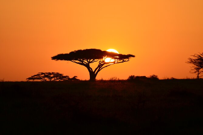6 days Tanzania budget safari - Day five: Ngorongoro Crater and the search for rhinos