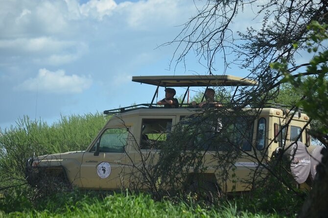 6 days Tanzania budget safari - Day two: Ngorongoro views, Maasai culture, and the Serengeti sunset