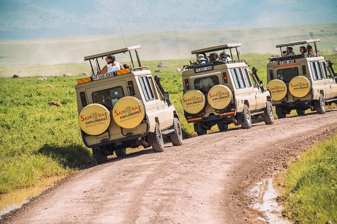 6-DayThe Best of Northern Tanzania Safari - What this six-day safari is really like