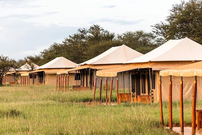 6-DayThe Best of Northern Tanzania Safari - Day six: Lake Manyara’s forest and birds