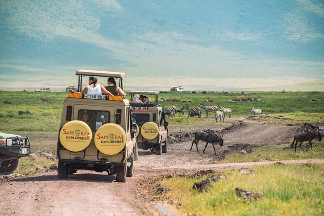 6-DayThe Best of Northern Tanzania Safari - Arrival in Arusha and the first night