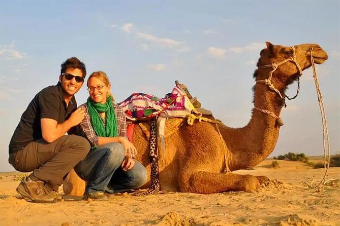 6-Hour Dubai Desert Dinner Safari with Dune Bashing & Camel Ride - Dune Bashing in the Dubai Desert Conservation Reserve