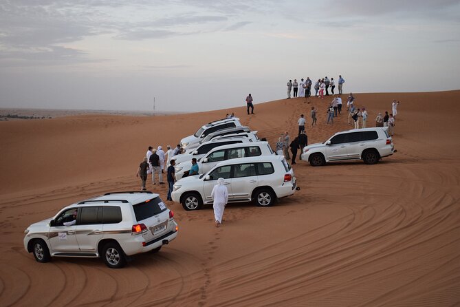 6 Hour Private Evening Desert Safari With BBQ Dinner - BBQ dinner covers the basics, with sensible expectations
