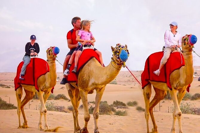 6 Hour Thrilling Desert Safari in 4x4 with Entertainment Show - The 4x4 dune ride is the real thrill