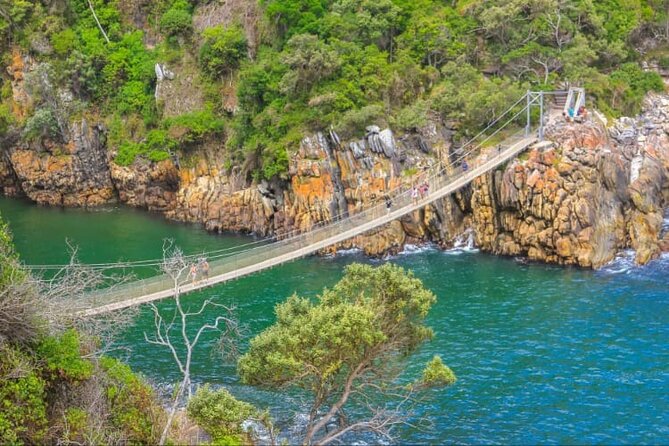 7-Day Garden Route Safari Adventure from Cape Town - Day 7: The long road back to Cape Town