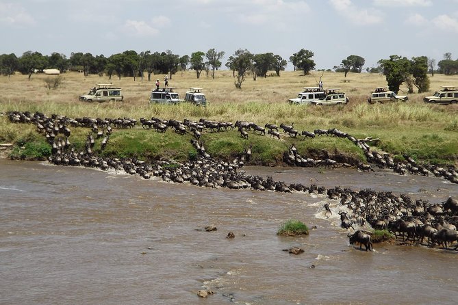 7-Day Great Migration Safari - Day 2: Lake Manyara and the Rift Valley climb