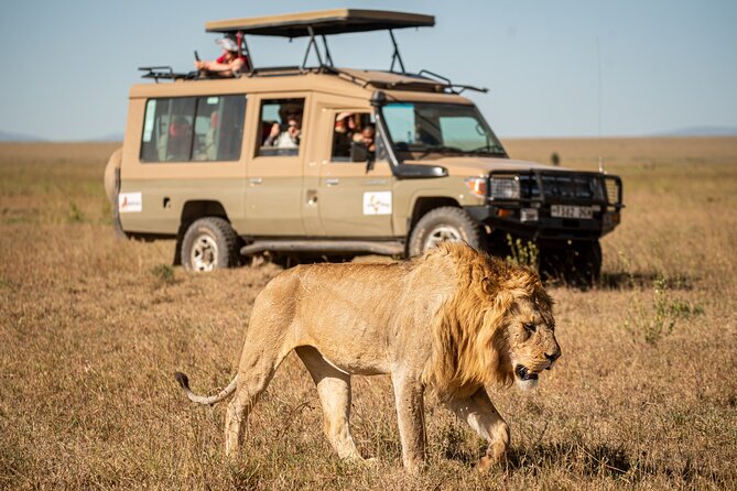7-Day Premium Luxury Tanzania Safari All-Inclusive - Key points to know before booking