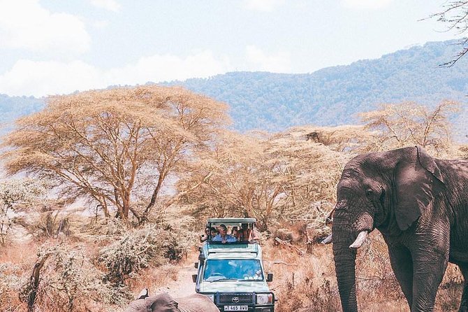 7 days great migration safari - Day 5: From Serengeti to the Ngorongoro rim