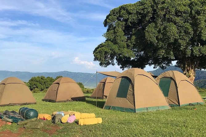 7 days great migration safari - Day 7: Lake Eyasi and the road back to Arusha