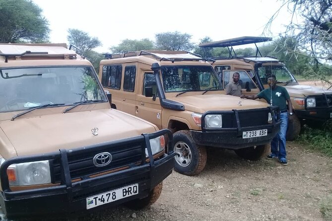 7 Days Tanzania Mid-range lodge safari - Day 1: Lake Manyara and the Great Rift Valley