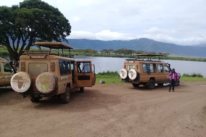 7 Days Tanzania Mid-range lodge safari - Day 3: Descending into Ngorongoro Crater