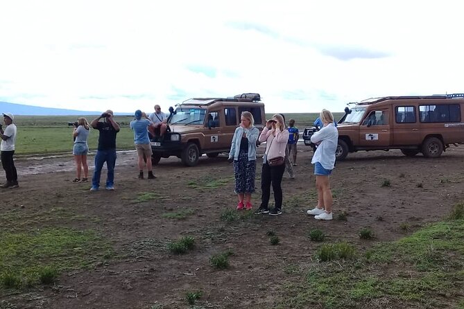 7 Days Tanzania Mid-range lodge safari - The private vehicle and guide make the difference