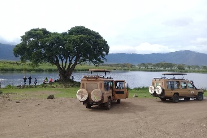 7 Days Tanzania Mid-range lodge safari - Day 2: Choose more wildlife or a guided walk