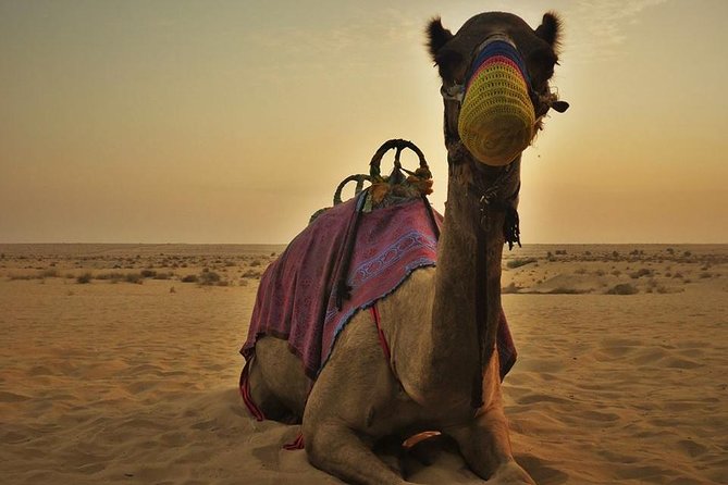 7-hour Small Group 4x4 Desert Safari Tour with Buffet Dinner in Dubai - Sandboarding and the optional camel ride