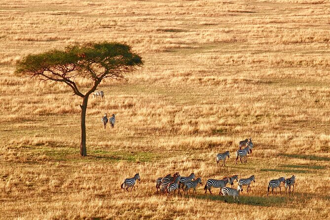 8-Day Essence of Tanzania Safari - Luxury - Lake Eyasi and a Hadzabe hunting experience