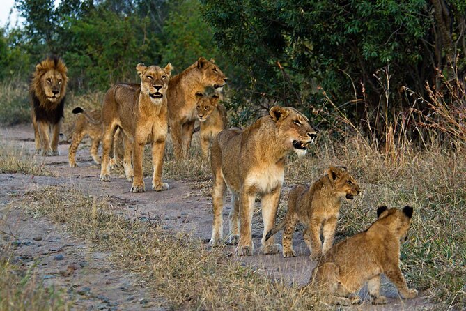 8 Day Safari The Best of Tanzania & Lake Eyasi - Arusha arrival: a soft landing before the parks
