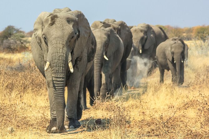 8 Day Safari The Best of Tanzania & Lake Eyasi - The road to the Serengeti and a possible Maasai visit