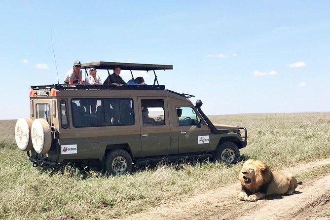 8 Day Spectacular Migration Serengeti mid -Range Tanzania Safari - The Serengeti starts with a long but rewarding transfer