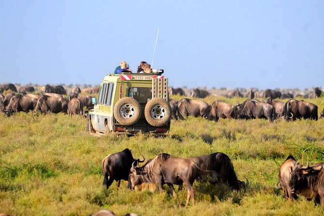 8 Days 7 Nights Tanzania Wildlife & Culture Lodge Safari - Day 7: Lake Eyasi and the quieter side of the route