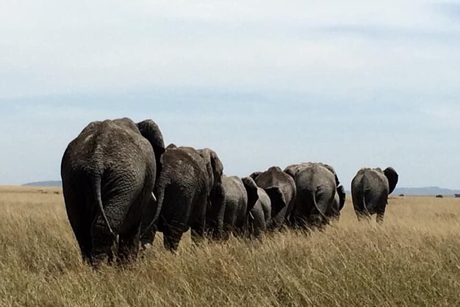 8 Days Green Season Offer - Luxury Serena Safari - What the $3,978 price really buys