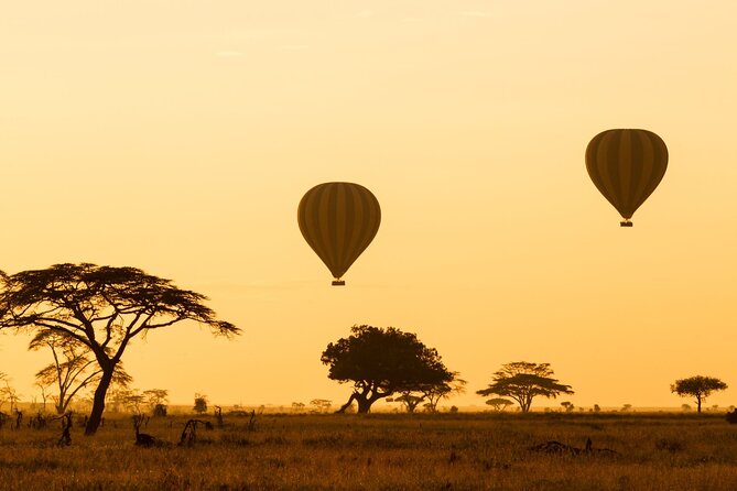 8 Days Green Season Offer - Luxury Serena Safari - Arrival in Arusha and the first night