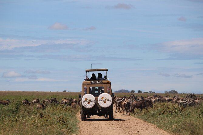 9-Day Serengeti Migration Footsteps Tanzania Safari - Days 4 and 5 in northern Serengeti: waiting for the Mara River