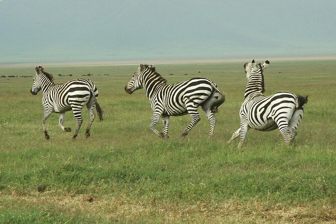 9-Day Ultimate Tanzania Honeymoon Safari Luxury Package - Walking and night viewing at Manyara