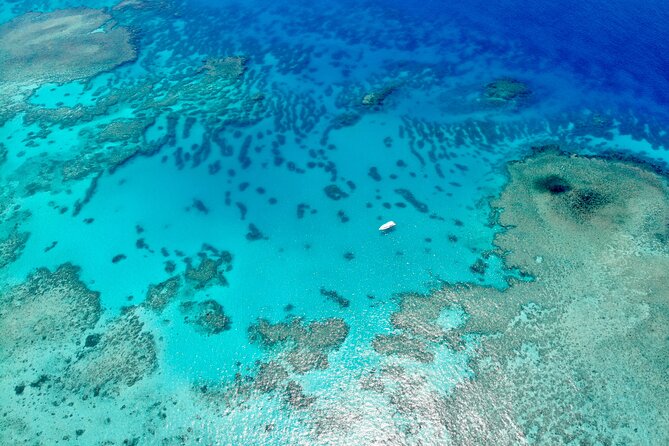 ABC Reef Safaris - First Reef Stop: Look for Coral, Clams, and Small Creatures