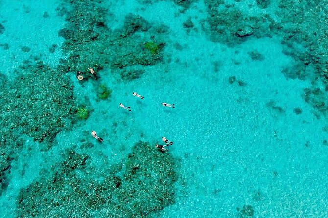 ABC Reef Safaris - Second Reef Stop: A Fresh View of the Same Ecosystem