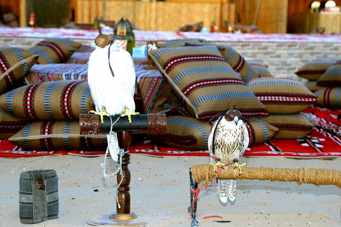 Abu Dhabi Afternoon Desert Safari and BBQ Dinner - Dune bashing across the golden sand