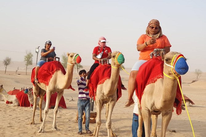 Abu Dhabi city tour & desert safari from Dubai - The guides can shape the whole day