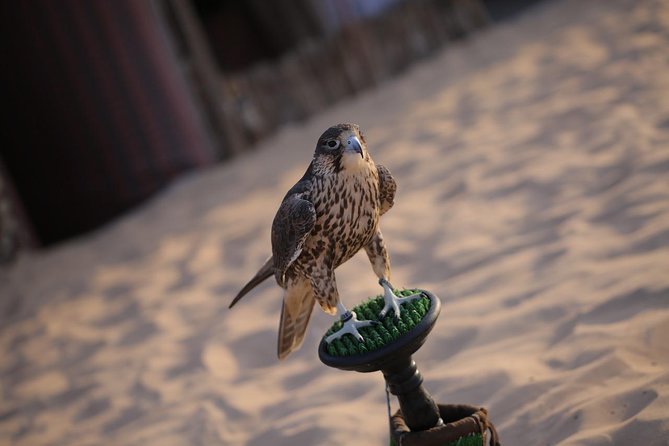 Abu Dhabi Desert Safari (Dune Bashing, BBQ Dinner, Camel Ride & Sand Skii) - Crossing the dunes in a Land Cruiser