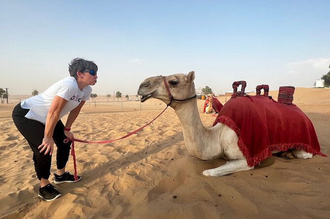 Abu Dhabi Desert Safari Tour with Shows & Buffet Dinner - The afternoon pickup and long ride outward